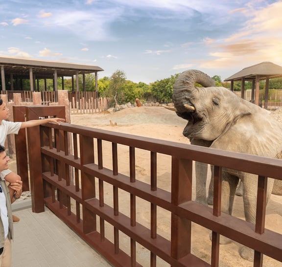 Dubai City Tour & Safari Park tour with Transfers