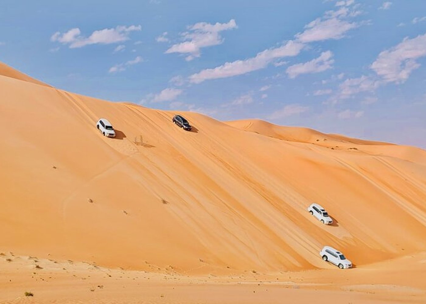 Liwa Full Day Desert Safari Tour with Thrills & Tranquility - 6