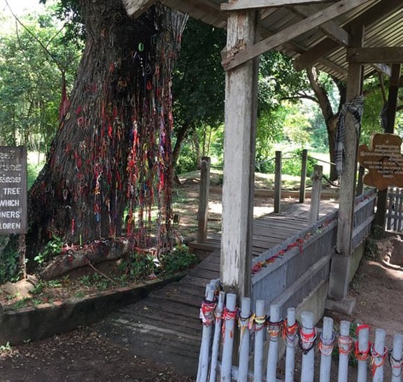Private Half Day Trip to Genocidal Museum & Killing Field