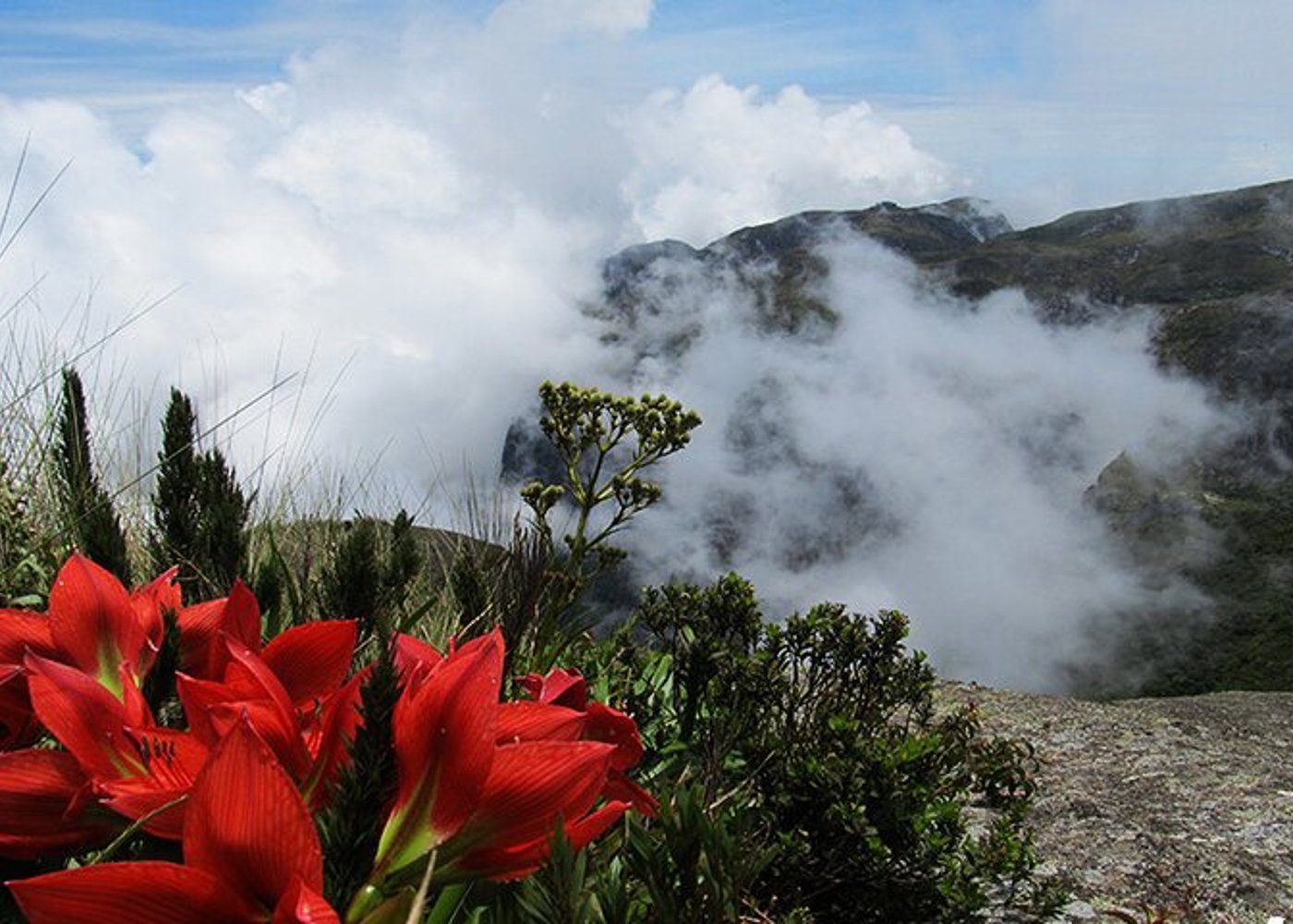 Serra dos Orgaos National Park – EcoTour - 12
