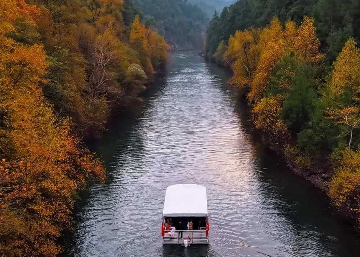 Sığla Forest Boat Tour | 1.5-Hour Nature Journey in Karacaören Lake - 4