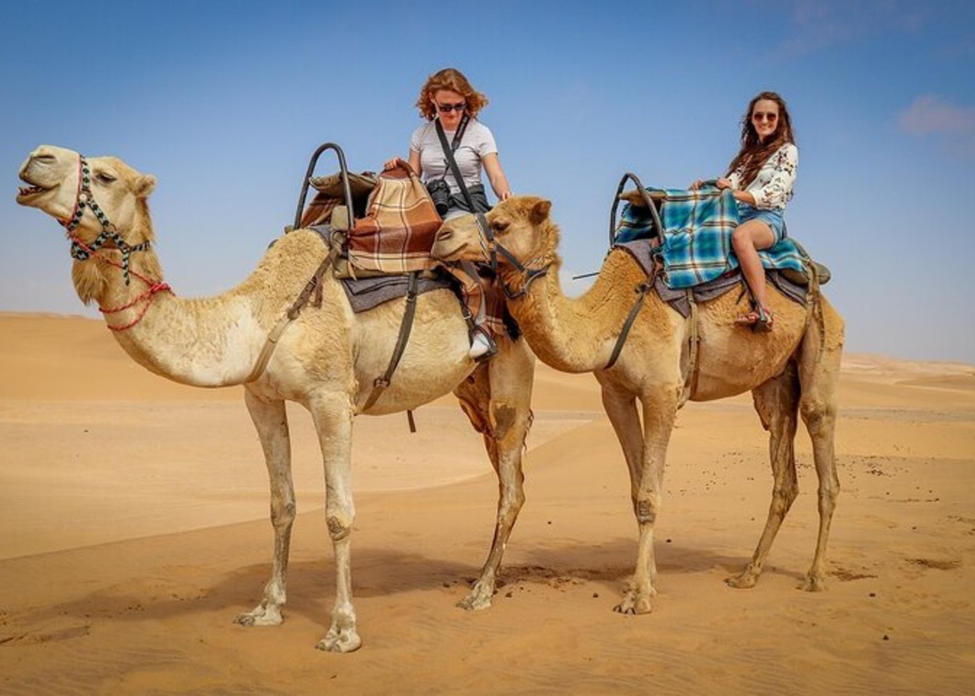 Dubai Dune Buggy Safari with Sandboarding, Camel Ride and Dinner - 3