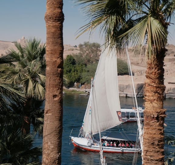 Discover Elephantine Island from Aswan