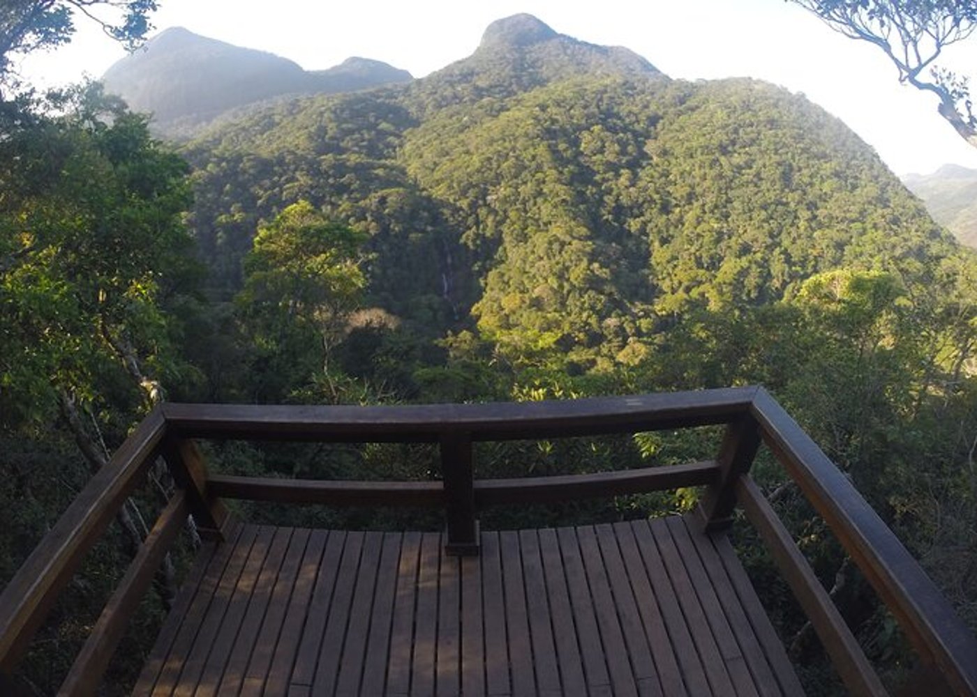 Tijuca's National Park - Eco Hiking Tour - 11