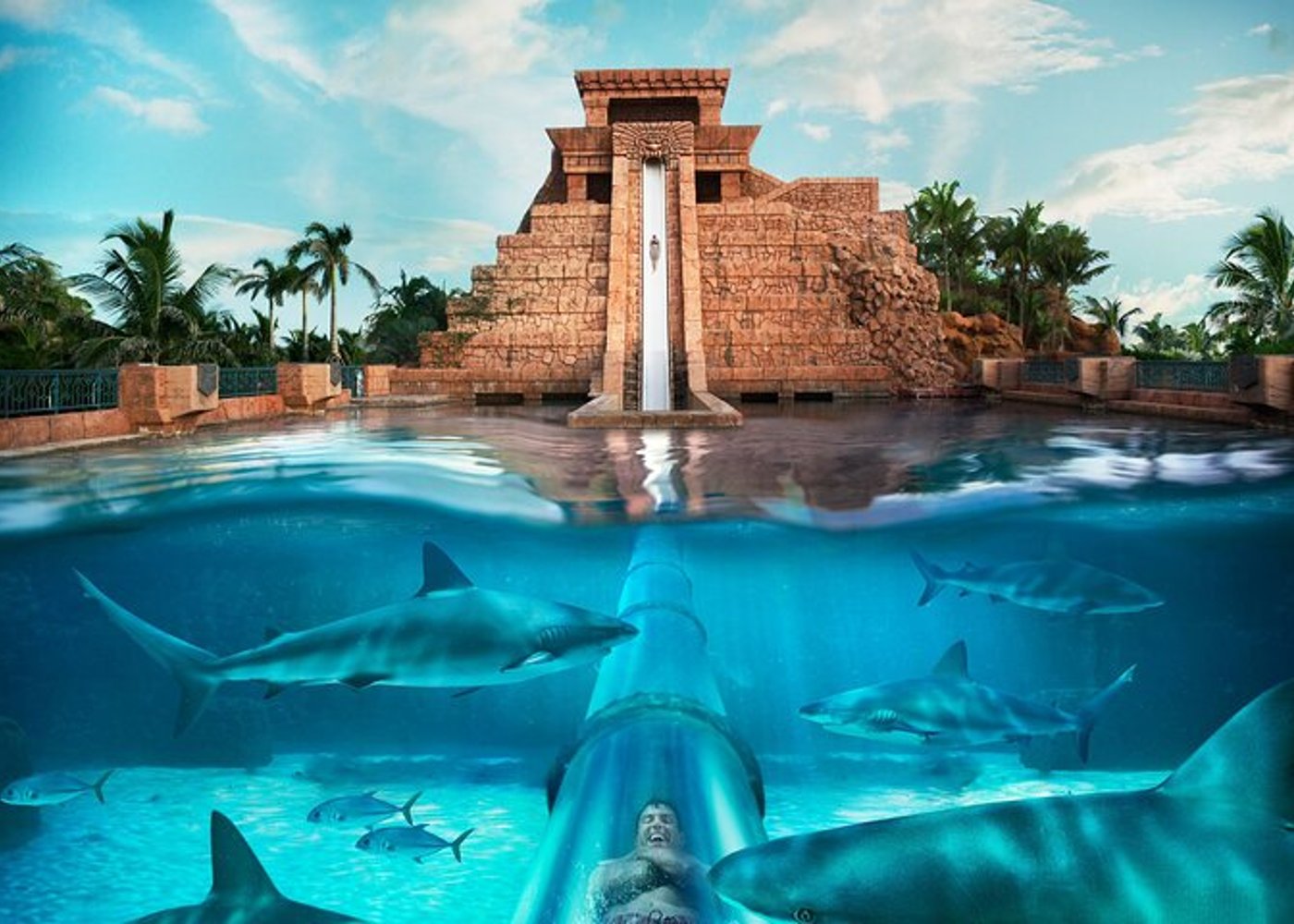 Aquaventure Waterpark Dubai Day Pass - 4