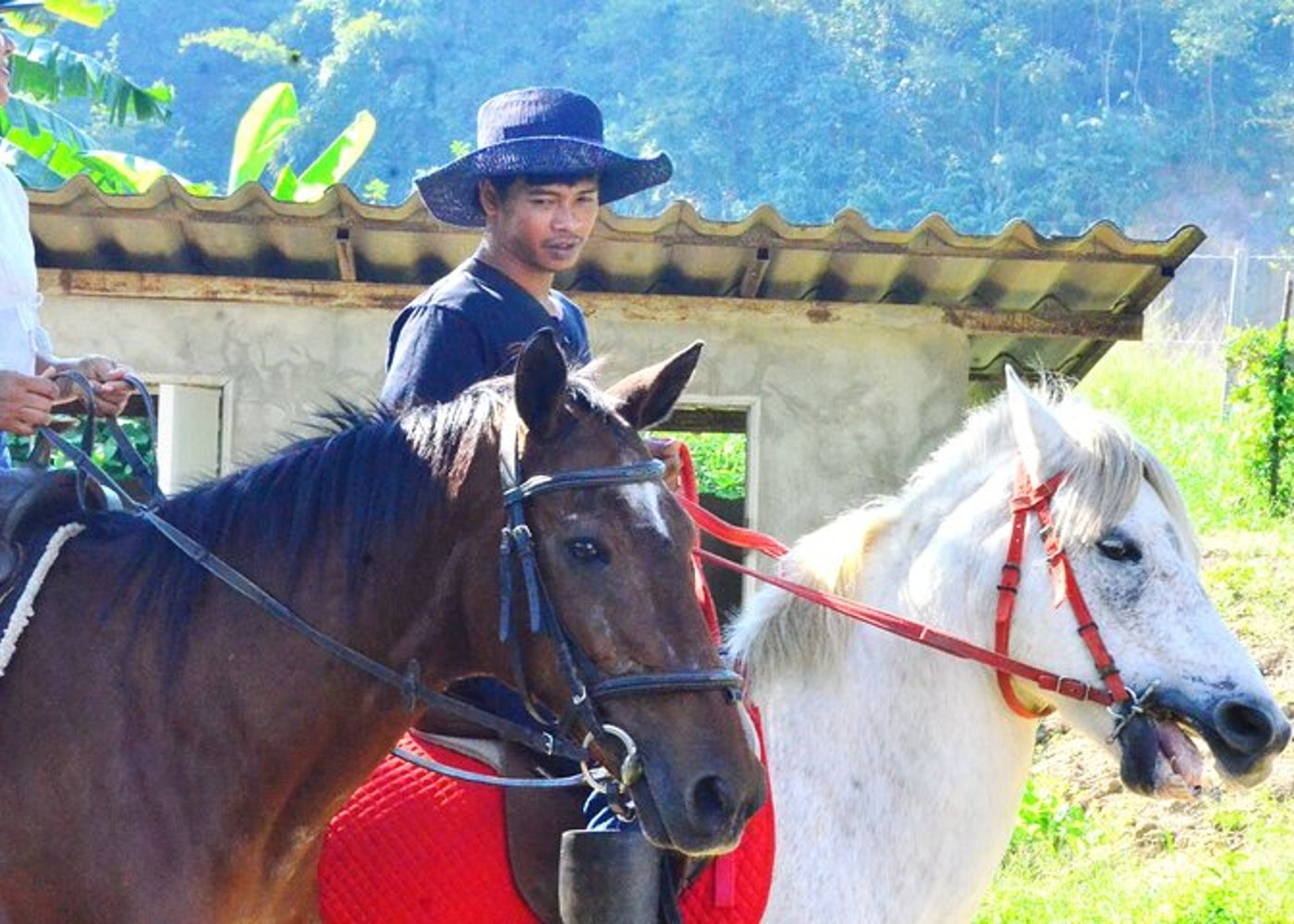Pferdestunde+Reiten+Wat Tonkwen Holztempel.Chiangmai - 4