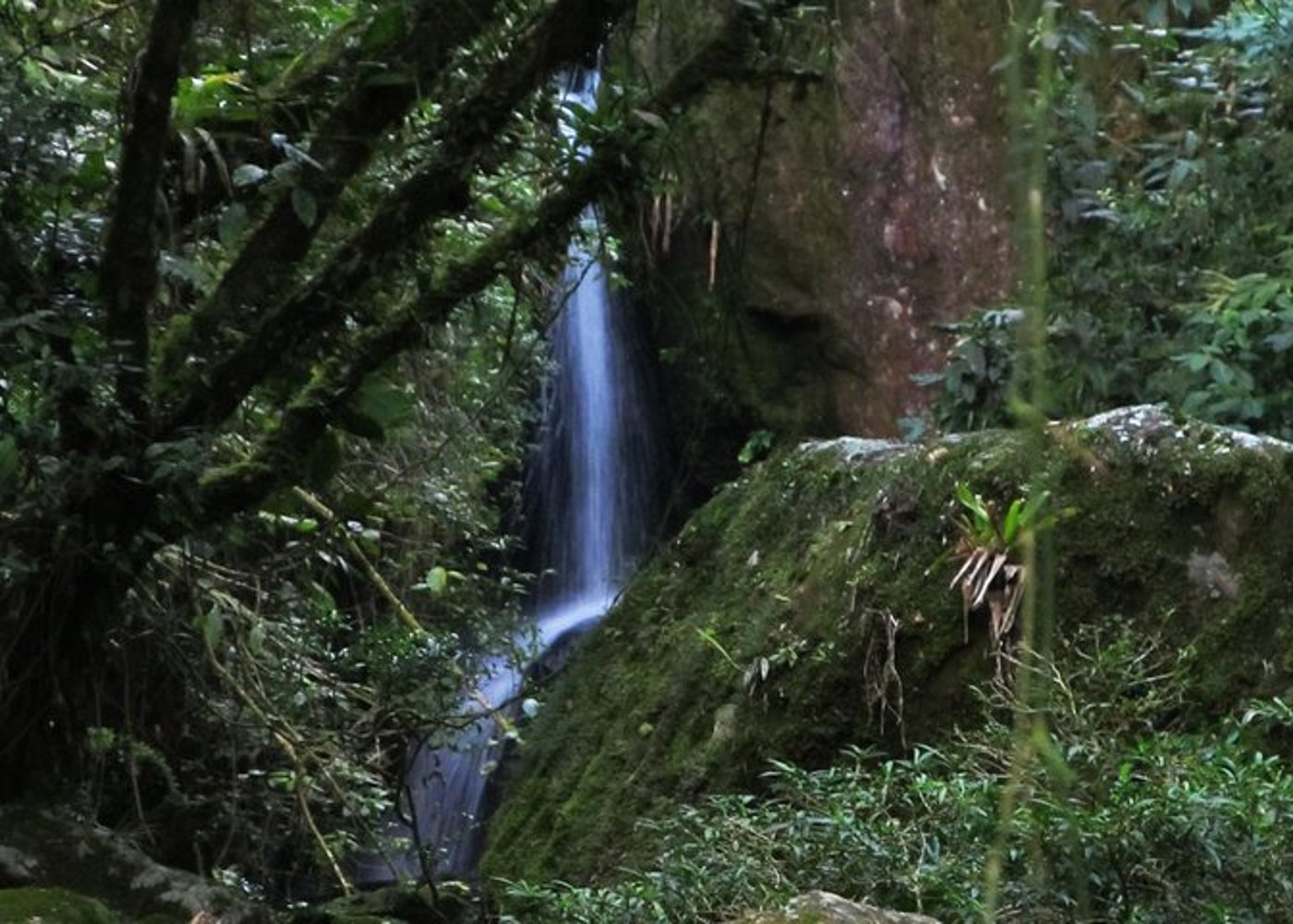 Serra dos Orgaos National Park – EcoTour - 4