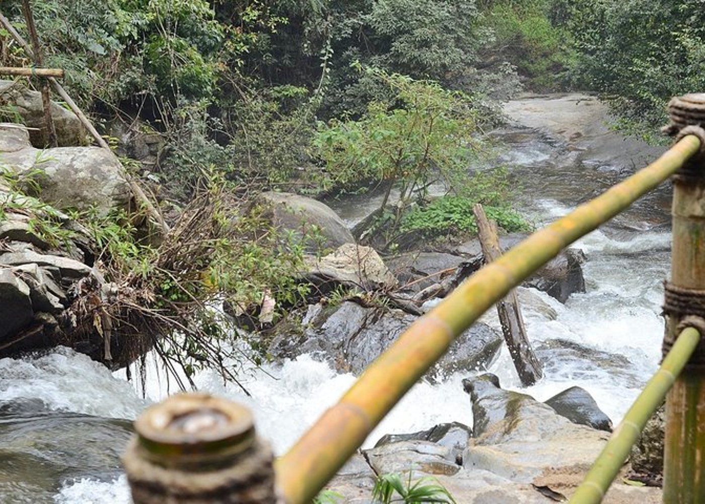 Doi Inthanon am Nachmittag und Wandern - 4