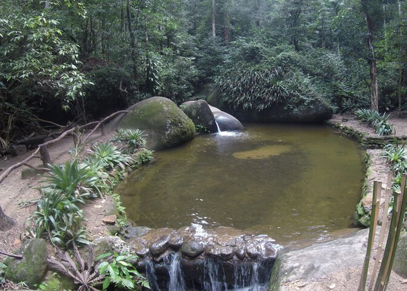 Tijuca's National Park - Eco Hiking Tour - 4