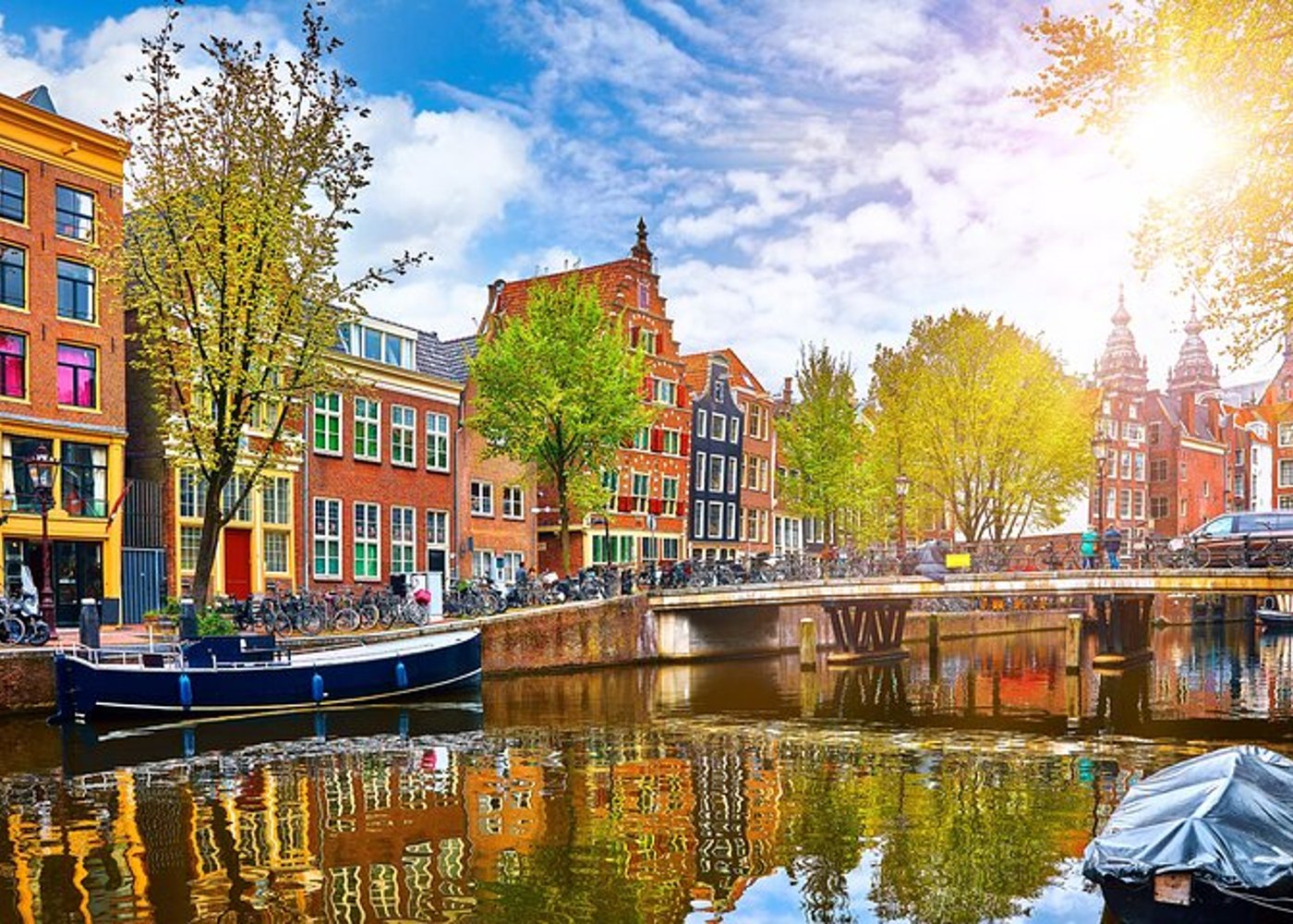 Van Gogh, Rembrandt and Dutch Art Private Tour in Amsterdam - 5