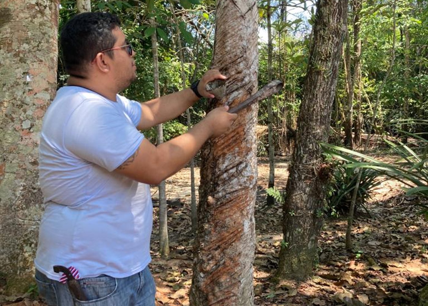 Rubber Plantation Museum Vila Paraiso - 9