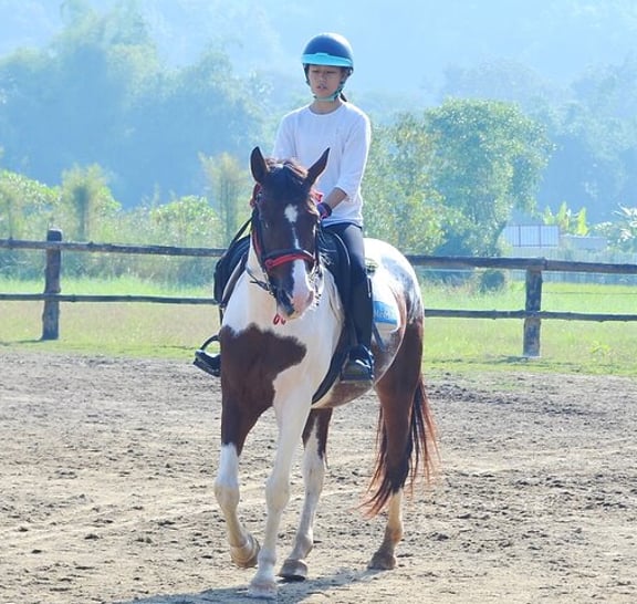 Horse Lesson+Riding+Wat Tonkwen wooden temple.Chiangmai