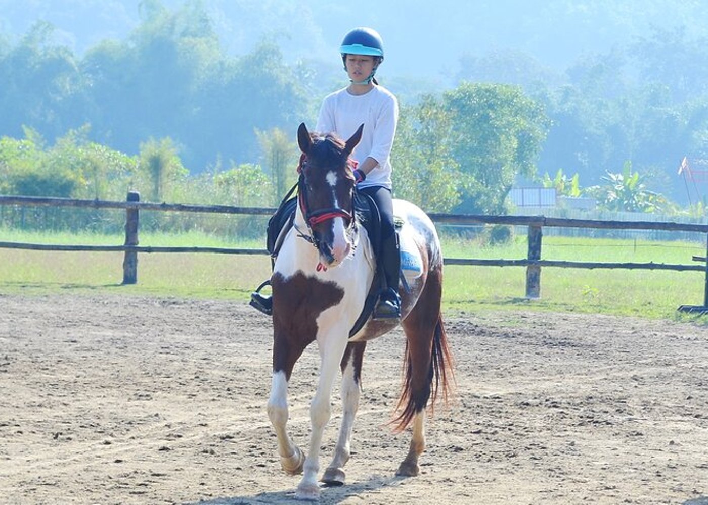 Pferdestunde+Reiten+Wat Tonkwen Holztempel.Chiangmai - 7