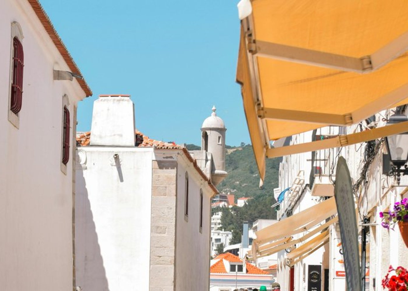 Setúbal Private Wine Experience Two Wineries and Tastings - 16