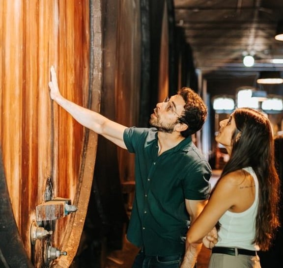 Setúbal Private Wine Experience Two Wineries and Tastings