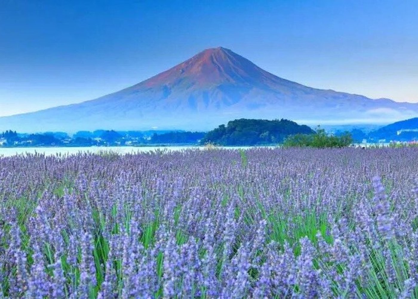 Góra Fudżi,Saiko Iyashi-no-Sato Nenba&Jezioro Kawaguchi - 6