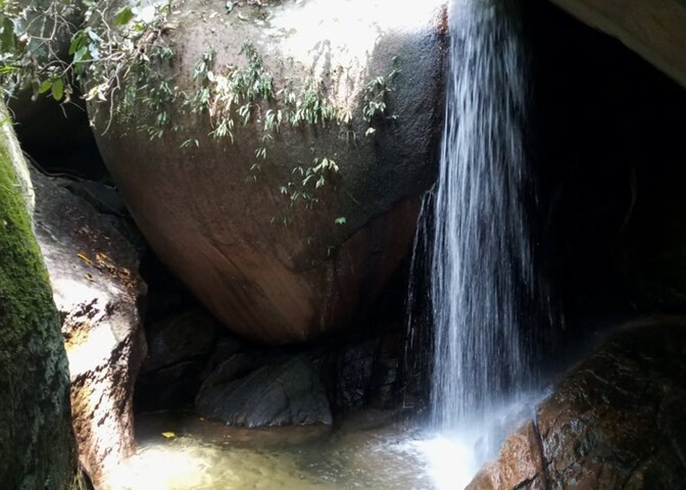 Tijuca's National Park - Eco Hiking Tour - 10