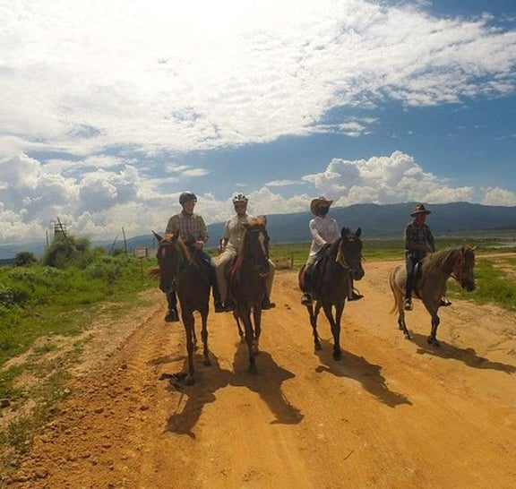 Horse Lesson+Riding+Wat Tonkwen wooden temple.Chiangmai