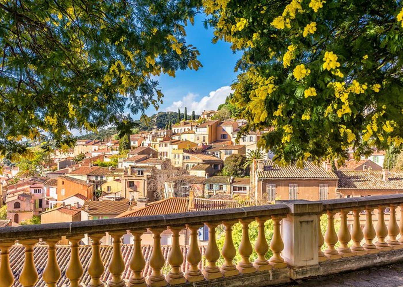 Florence Old Town and Top Attractions Private Walking Tour - 3