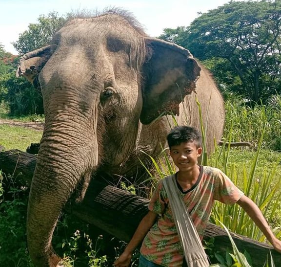 Combo Tour in Elephant Sanctuary, Sticky Waterfall, Angle Land