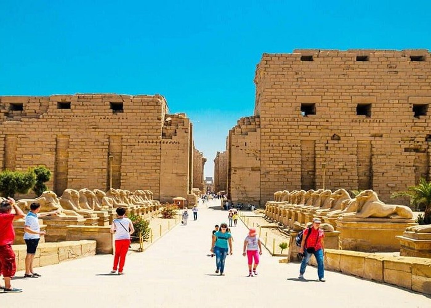 Luxor Highlights East and West Banks+ Lunch and Felucca Ride - 4