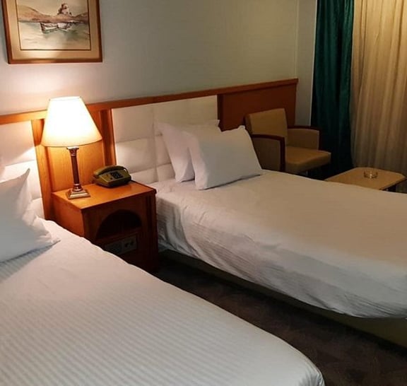 4 Nights Cruise Luxor To Aswan and Abu Simbel with train rounded trip from Cairo