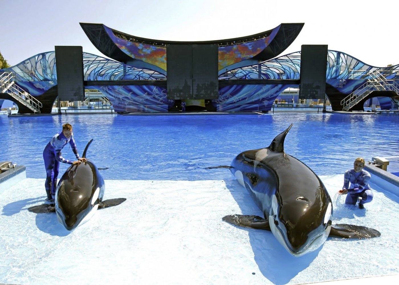 Экскурсия по Абу-Даби с посещением Большой мечети и SeaWorld - 2