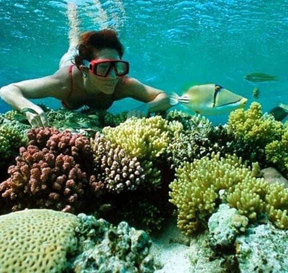 Full Day Snorkeling Trip to the Red Sea in Safaga from Luxor