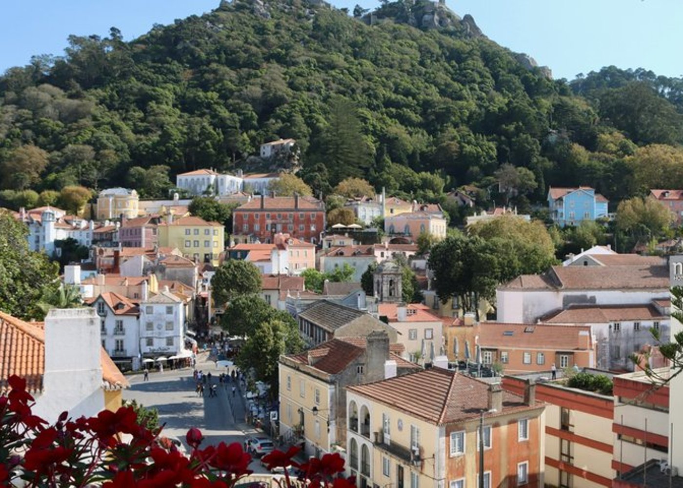 From Lisbon to Sintra: Private Half-Day Tour, including Pena Palace entrance ticket - 4