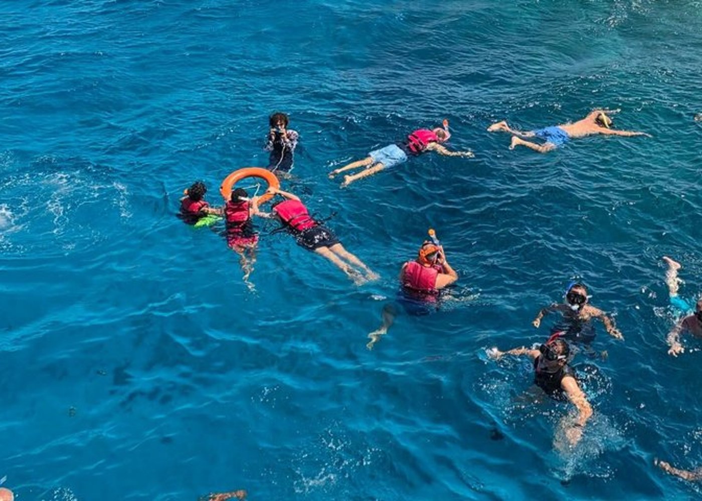 Premium Hula Hula Island, Najlepsza wyprawa snorkelingowa - Hurghada - 43
