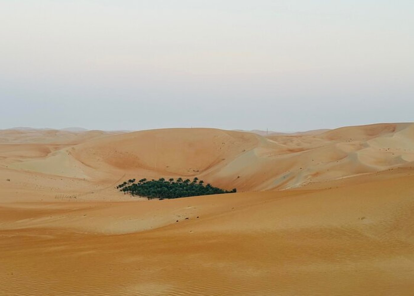 Liwa Full Day Desert Safari Tour with Thrills & Tranquility - 2
