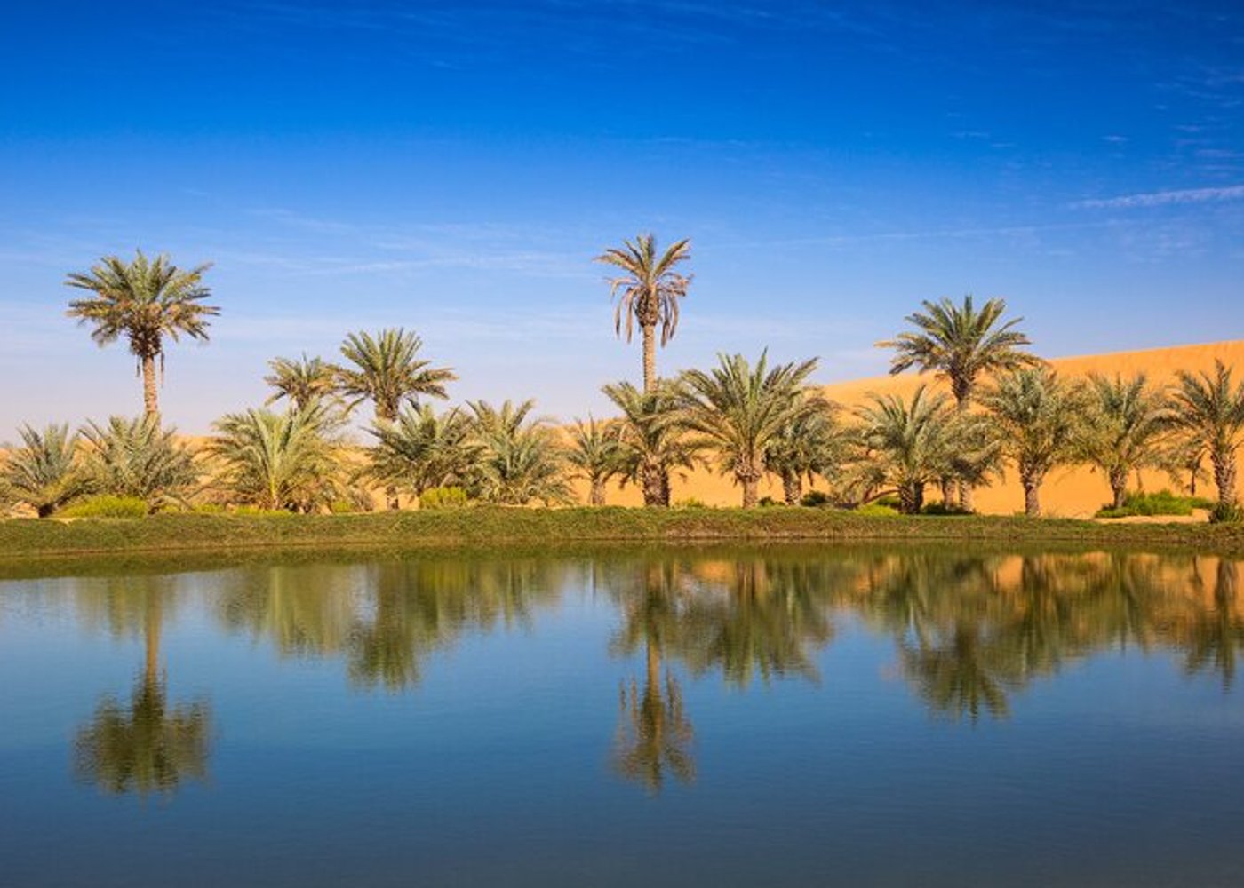Full Day Al Ain City Tour with Lunch - 5