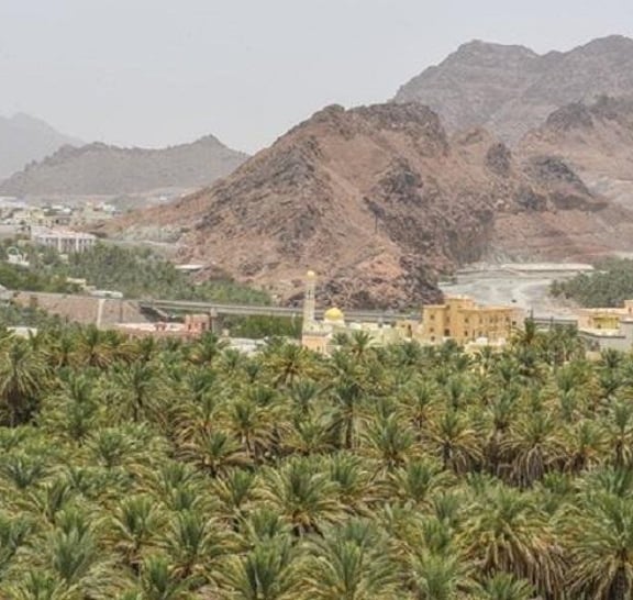 Amouage, Fanja köyü ve Wadi Taiyyin: Muskat Turları (Günlük Gezi)