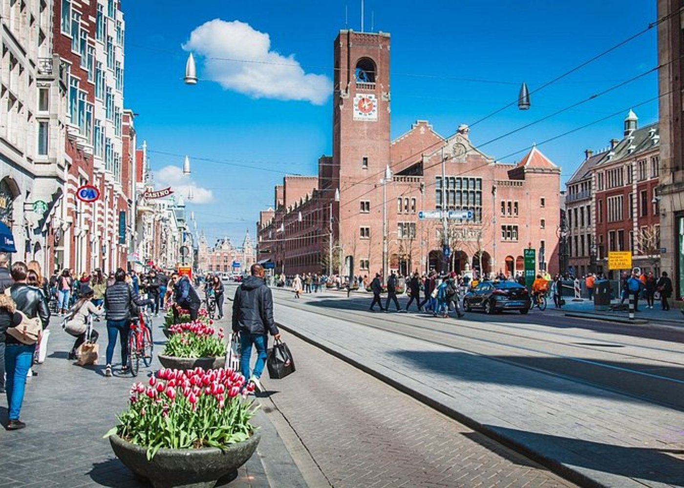 Wycieczka rowerowa po Starym Mieście w Amsterdamie, najważniejsze atrakcje i przyroda - 7