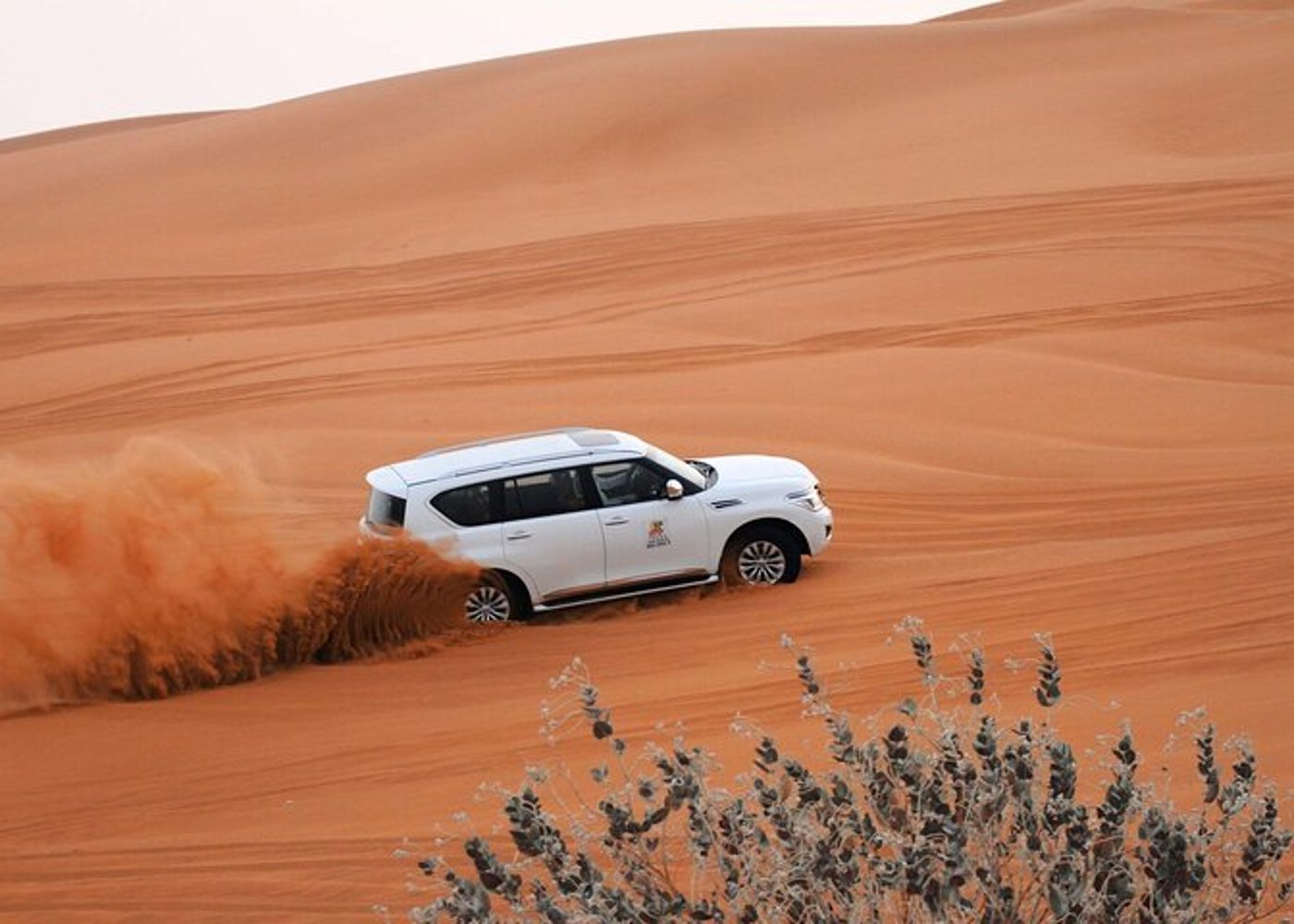 Unforgettable Standard Desert Safari Experience with ICL Lama - 8