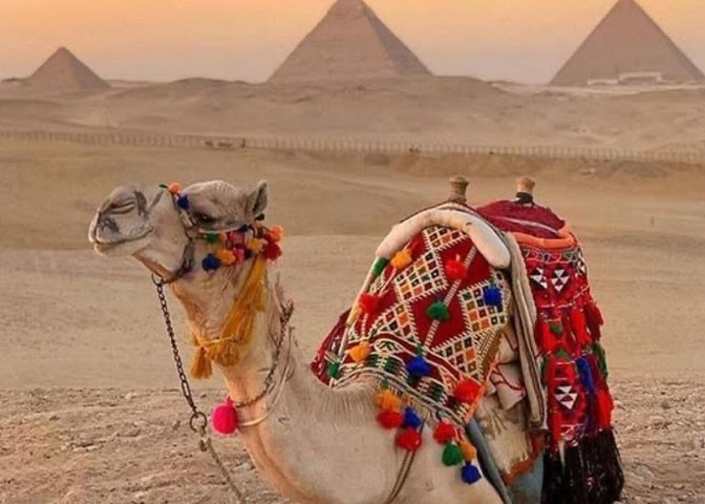 VIP Alexandria Port Landausflug zu den Pyramiden von Gizeh, Sphinx, GEM - 29