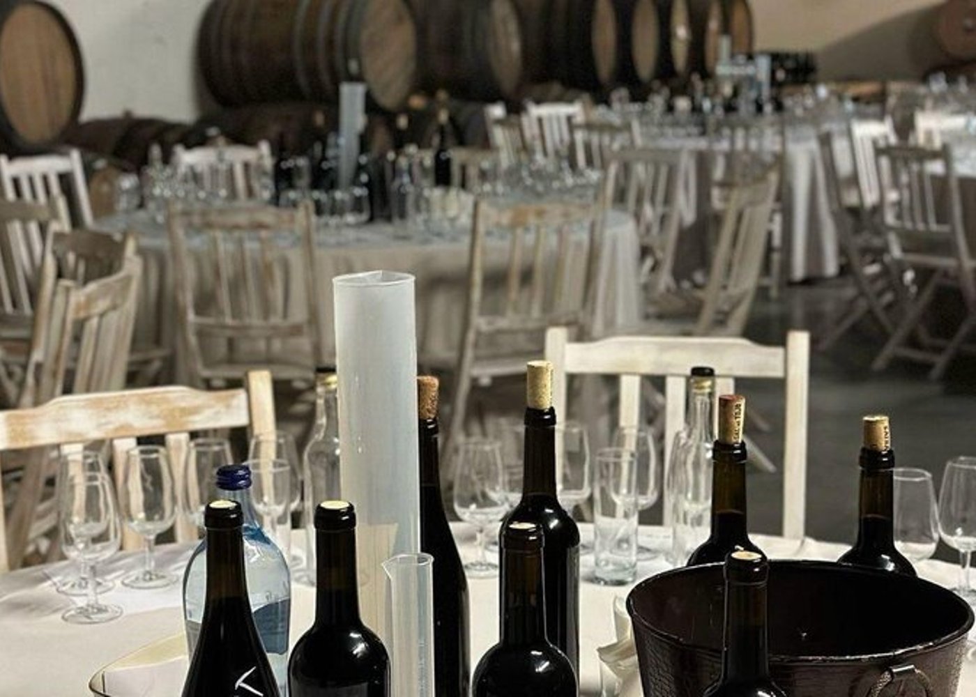 From Lisbon: Arrábida & Sesimbra Private Day Trip – Wine & Nature - 28
