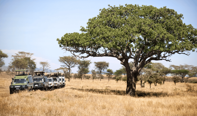 Trabzon Nature & Wildlife – Immerse Yourself in the Beauty of the Black Sea1