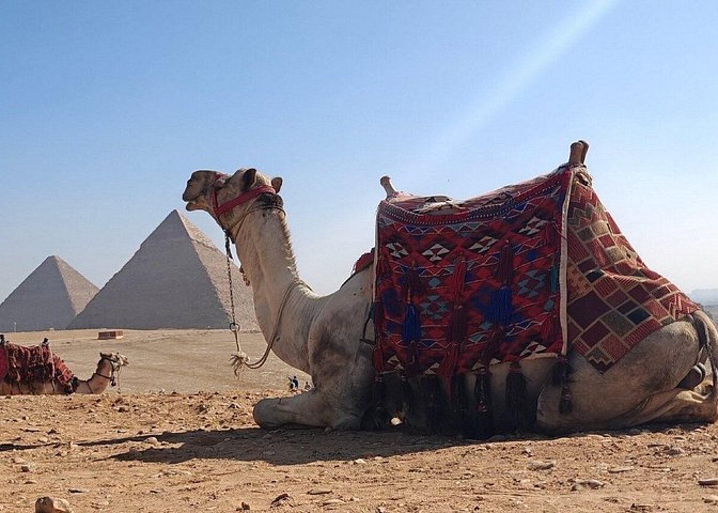 VIP Alexandria Port Landausflug zu den Pyramiden von Gizeh, Sphinx, GEM - 32