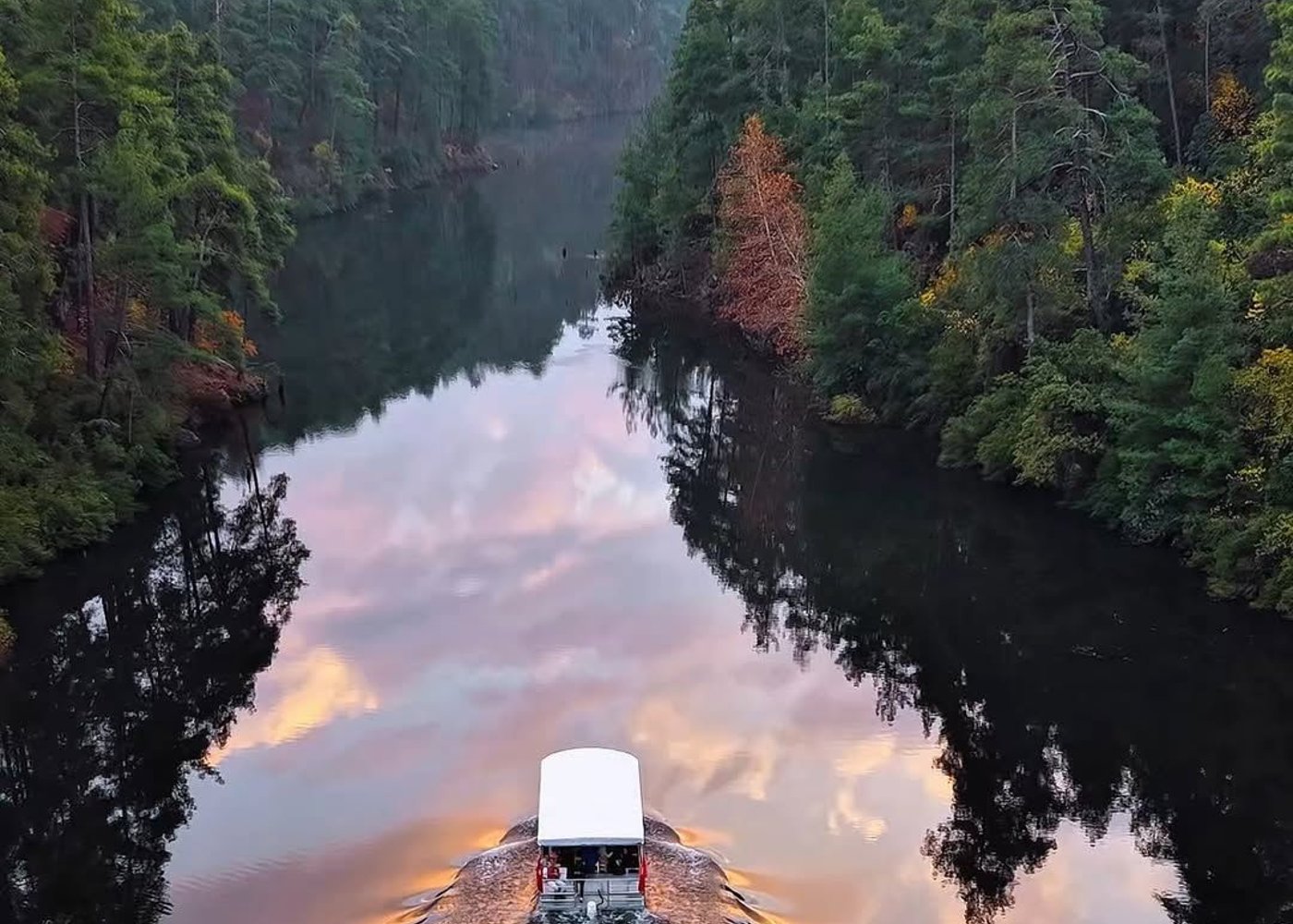 Sığla Forest Boat Tour | 1.5-Hour Nature Journey in Karacaören Lake - 3