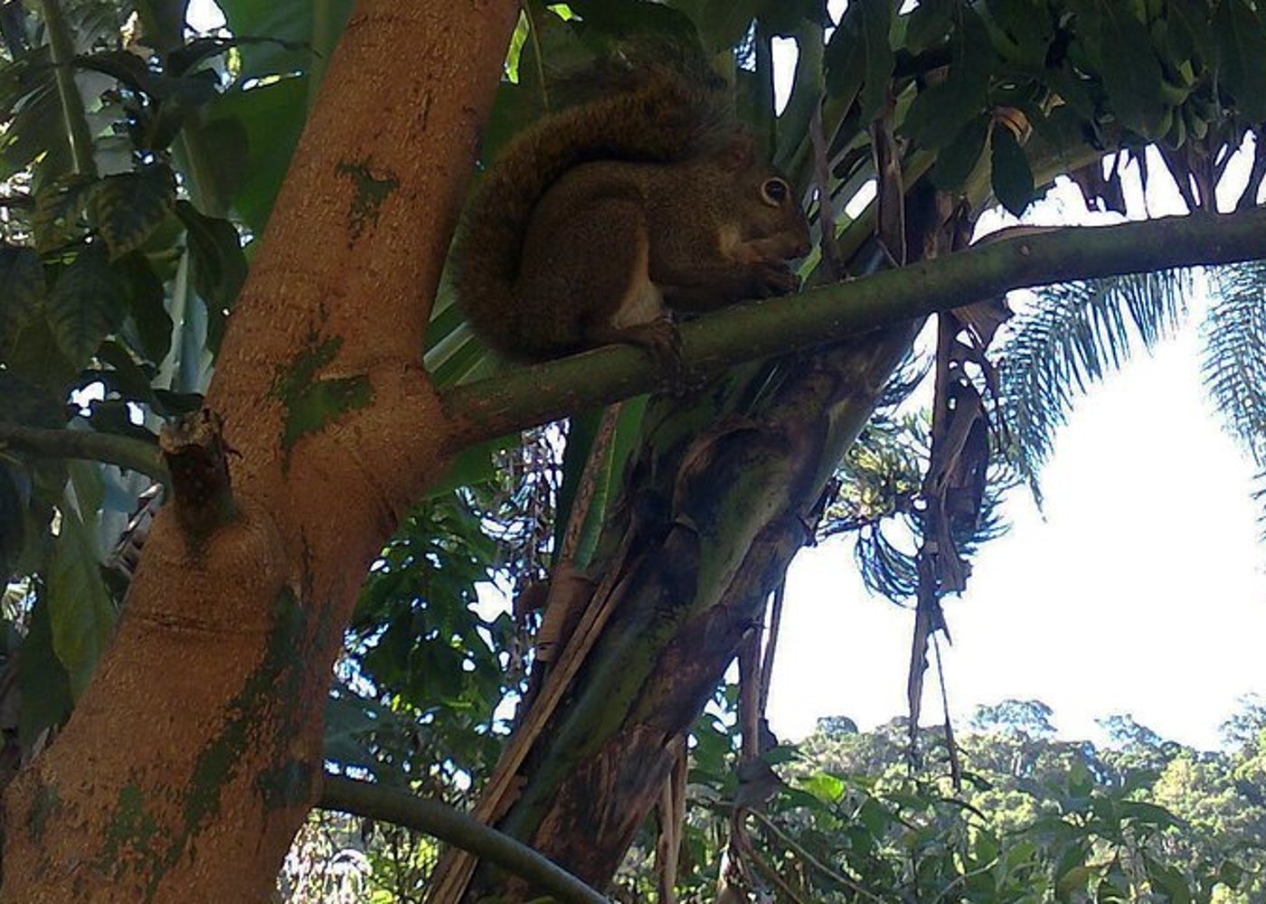 Serra dos Orgaos National Park – EcoTour - 8
