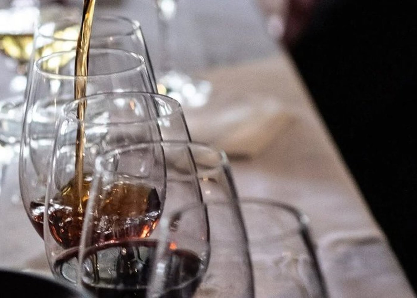 Setúbal Private Wine Experience Two Wineries and Tastings - 24