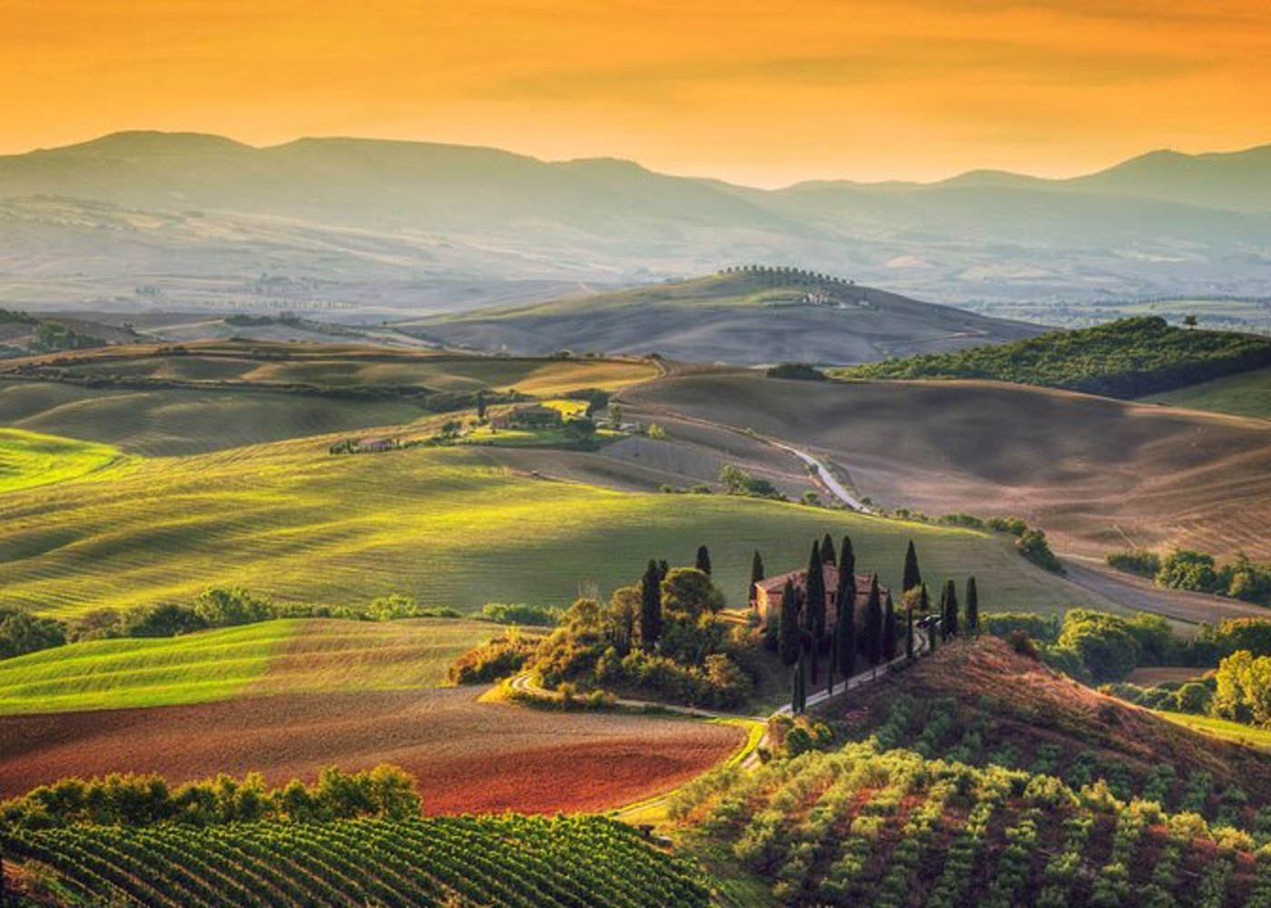 Tuscany Highlights and Wine Private Car Tour from Florence - 4