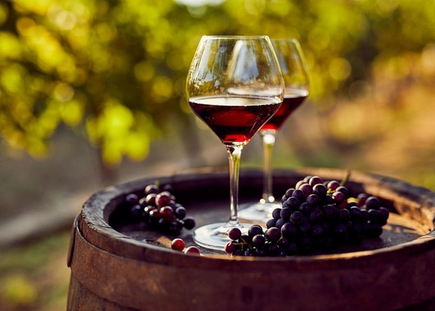 Madrid Weinverkostung Private Tour mit Weinexperten - 4