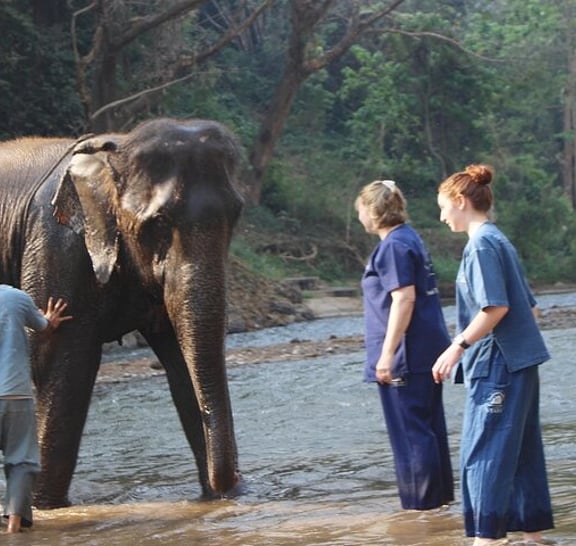 Combo Tour in Elephant Sanctuary, Sticky Waterfall, Angle Land