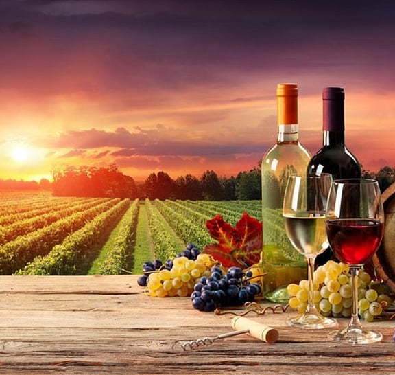 Madrid Weinverkostung Private Tour mit Weinexperten