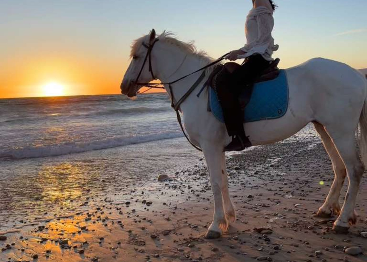 1-stündiges Reiterlebnis am Strand von Agadir - 3