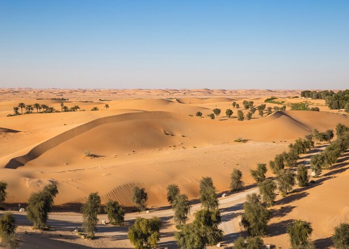 Full Day Al Ain City Tour with Lunch - 6