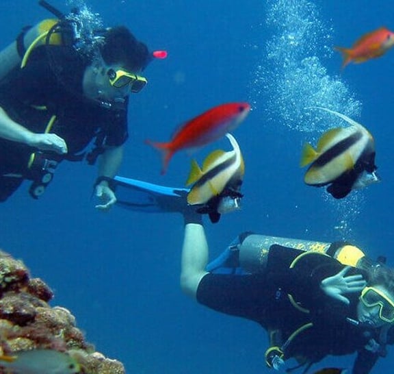 Scuba Diving Experience with a Professional Instructor