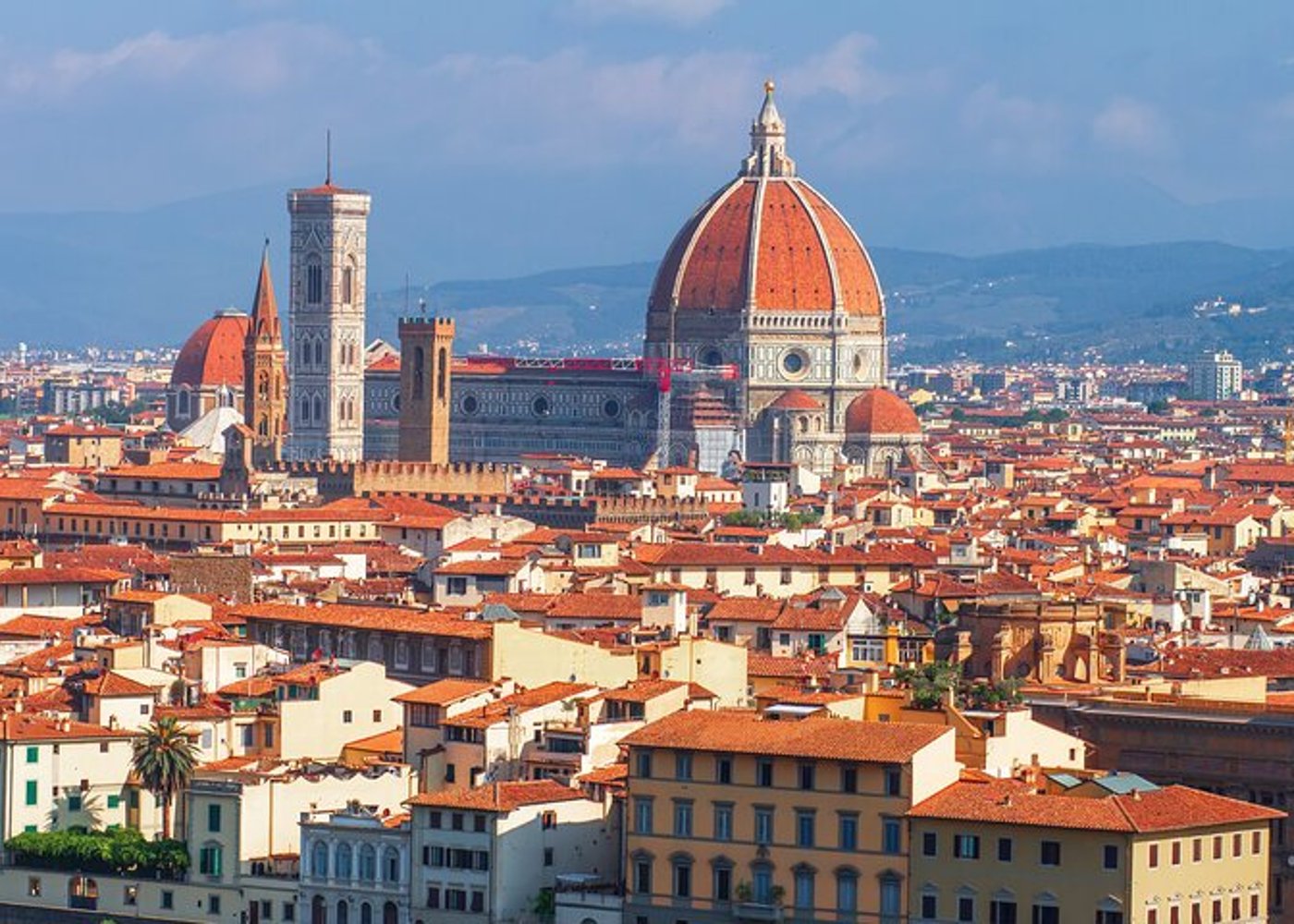 Florence Bargello Museum and Uffizi Gallery Private Tour - 5